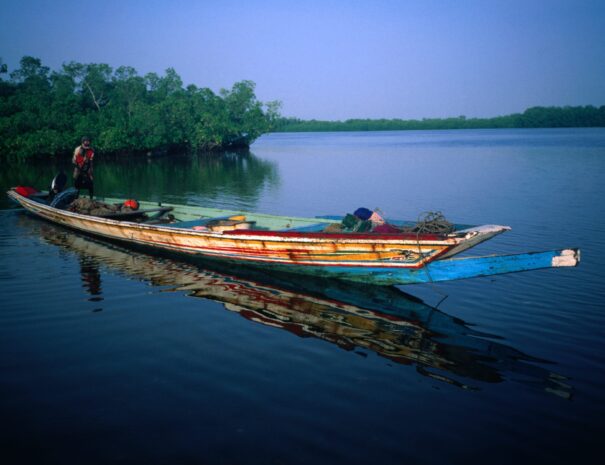 Mangroves Saloum