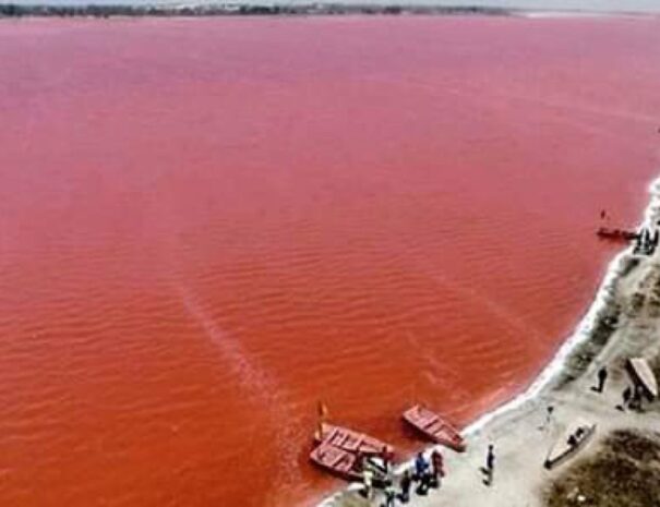 Pink Lake