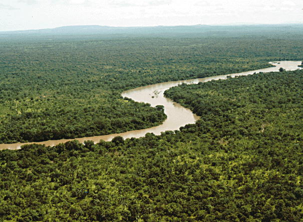 River_gambia_Niokolokoba_National_Park